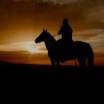 Punta Cana: Sunset Horseback Ride in Macao Beach and Forest
