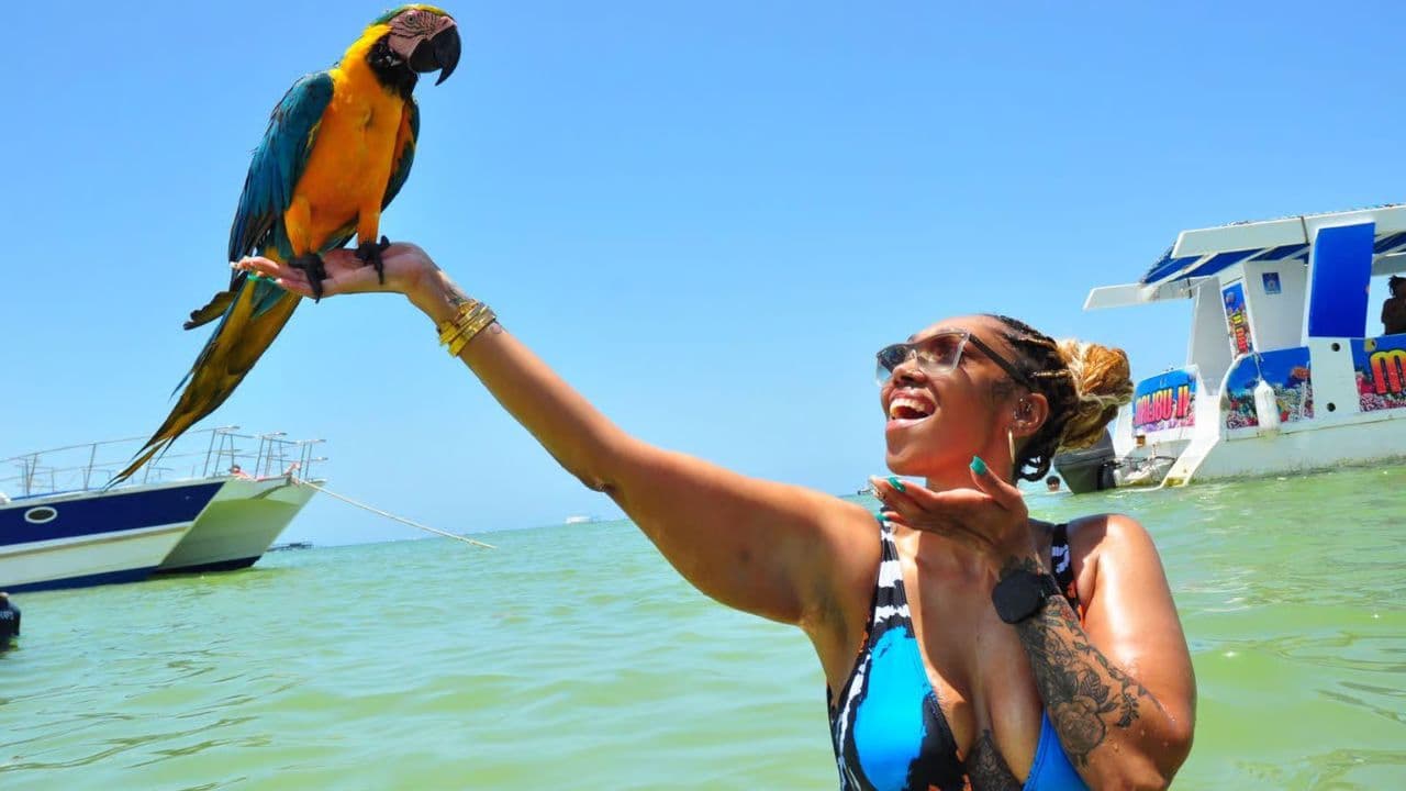 Punta Cana: Caribbean Lake Park Flyboard Experience