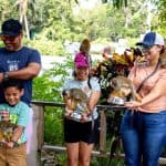 Punta Cana: Monkey Land Half-Day Safari and Plantation