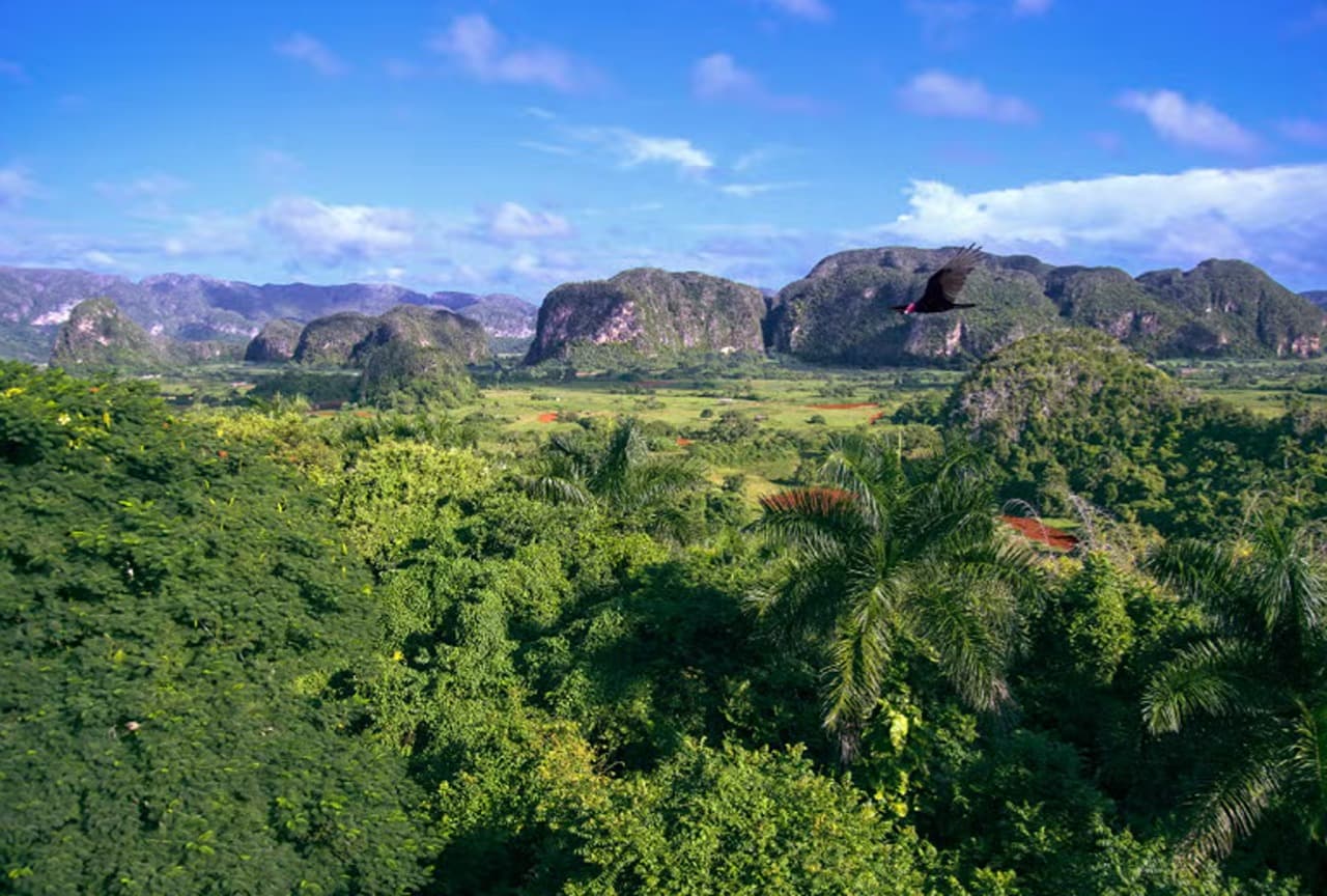 Viñales Horse Riding Tour