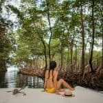3in1: Los Haitises N. Park + Waterfalls + Montaña Redonda