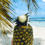 Punta Cana: Saona Island Catamaran Day Trip with Tickets and Lunch