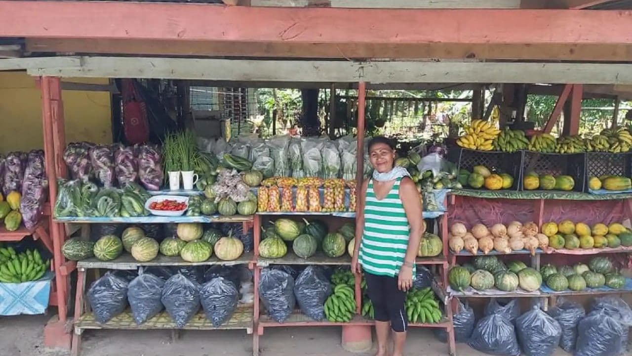 Explore Higüey: Half-Day Cultural Tour from Punta Cana