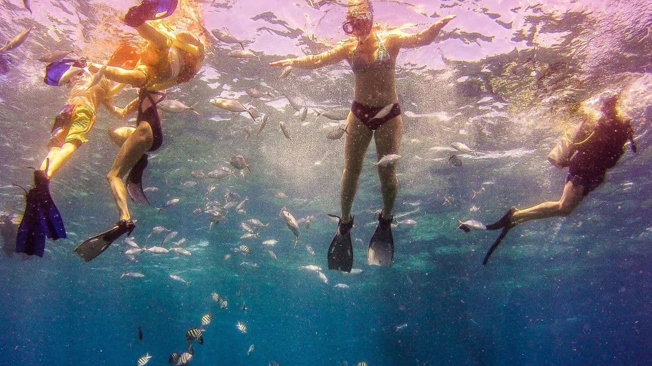 La Romana: Catalina Island Full-Day Snorkeling Tour