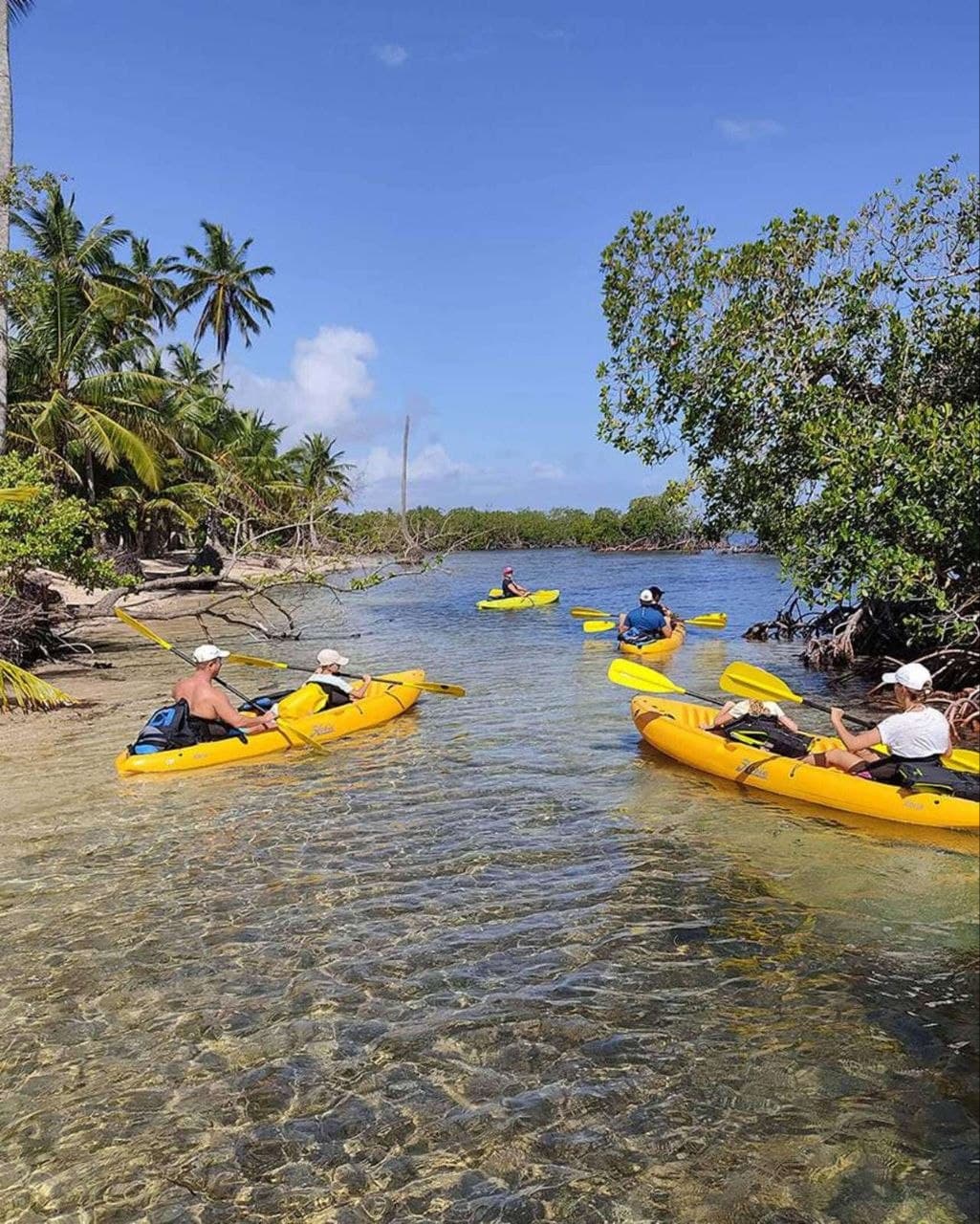 Samana: Los Haitises combining ATV riding, kayaking through mangroves