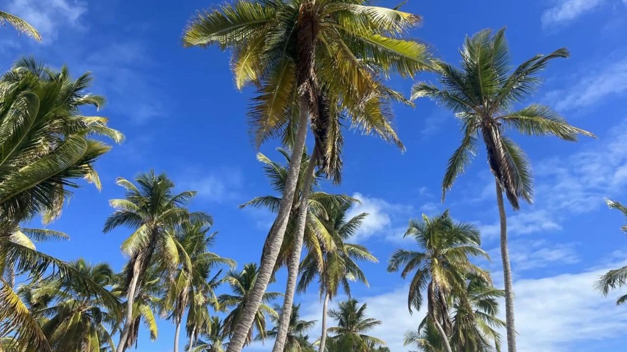 Punta Cana: Spa Cruise with Pilates, Massage, and Lunch