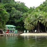 Hike + Kayak Los Haitises National Park from Boca Chica