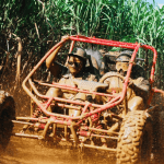 Bayahibe: Buggy tour amazing half-day
