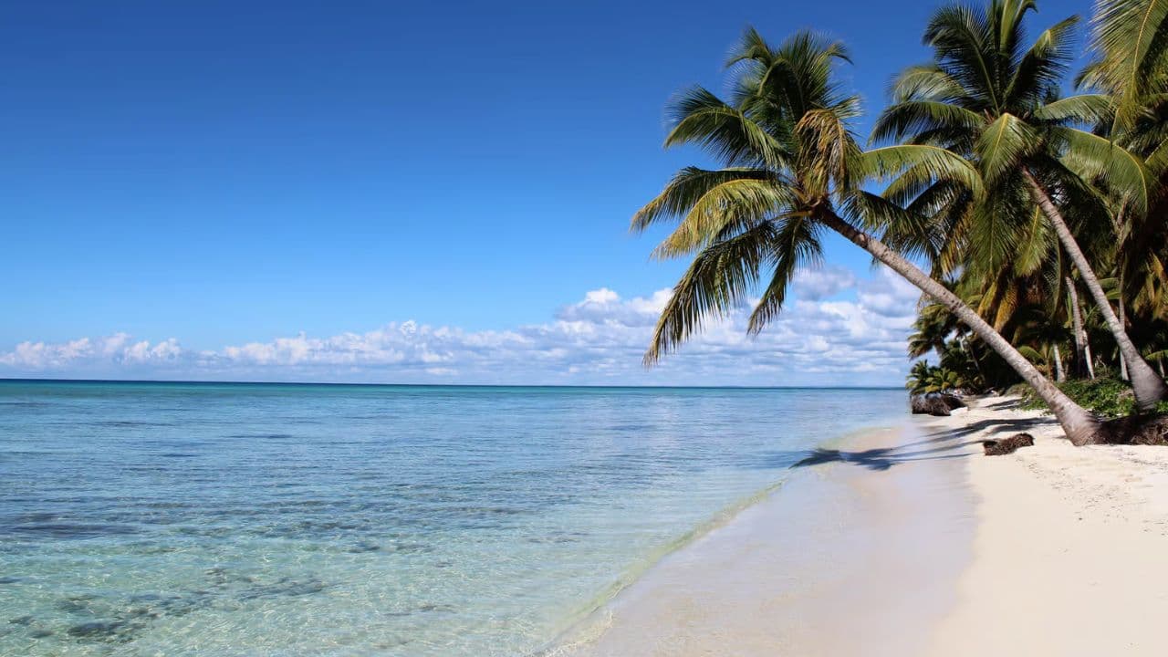 Full-Day Saona Island Tour by Speedboat