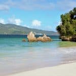 Ultimate Whale Watching Adventure in Samaná Bay - Dominican Republic