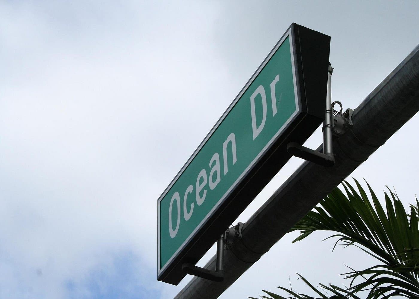 Miami City Tour & Celebrity Homes Cruise+Cuban Coffee Experience