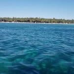 Full-Day Saona Island Tour by Speedboat