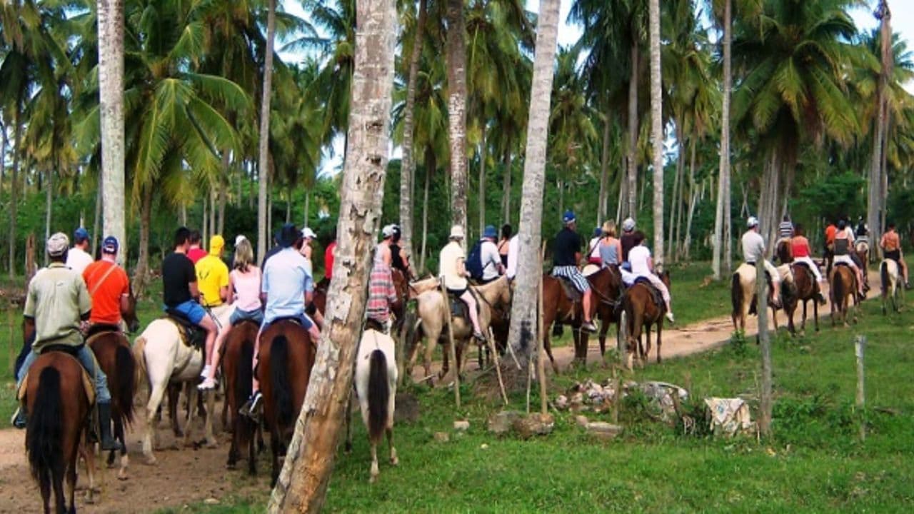 Samana: Full day Samana Amazing tour Punta Cana