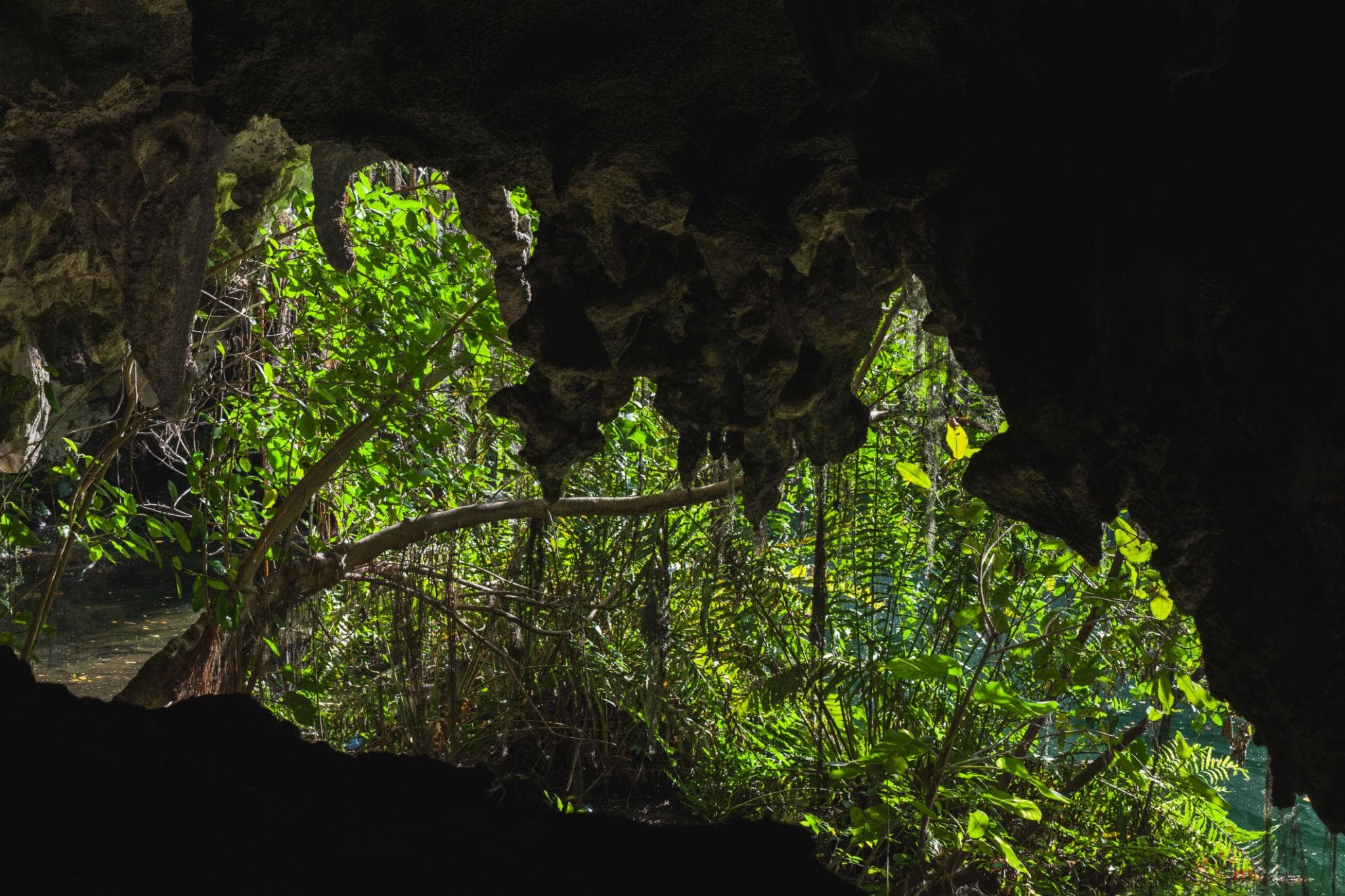 Los Tres Ojos Entrance Tour with Local Guide – Santo Domingo - Dominican Republic