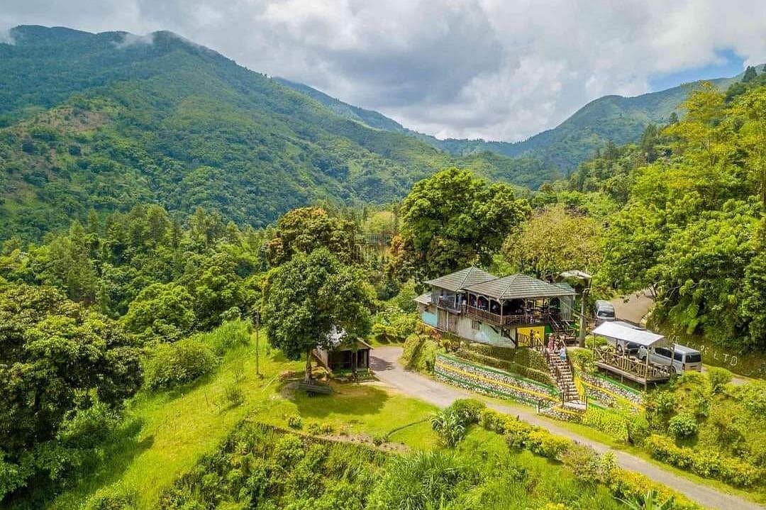 Blue Mountain Highlights Experience