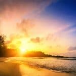 Punta Cana: Sunset Horseback Ride in Macao Beach and Forest