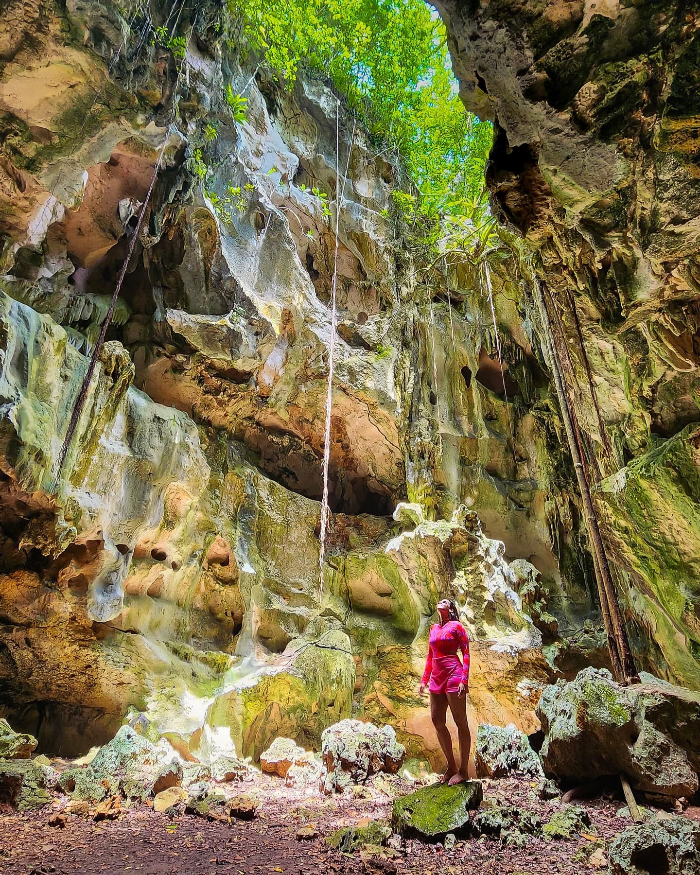 Samana: Los Haitises National Park & Cayo Levantado Tour - Dominican Republic