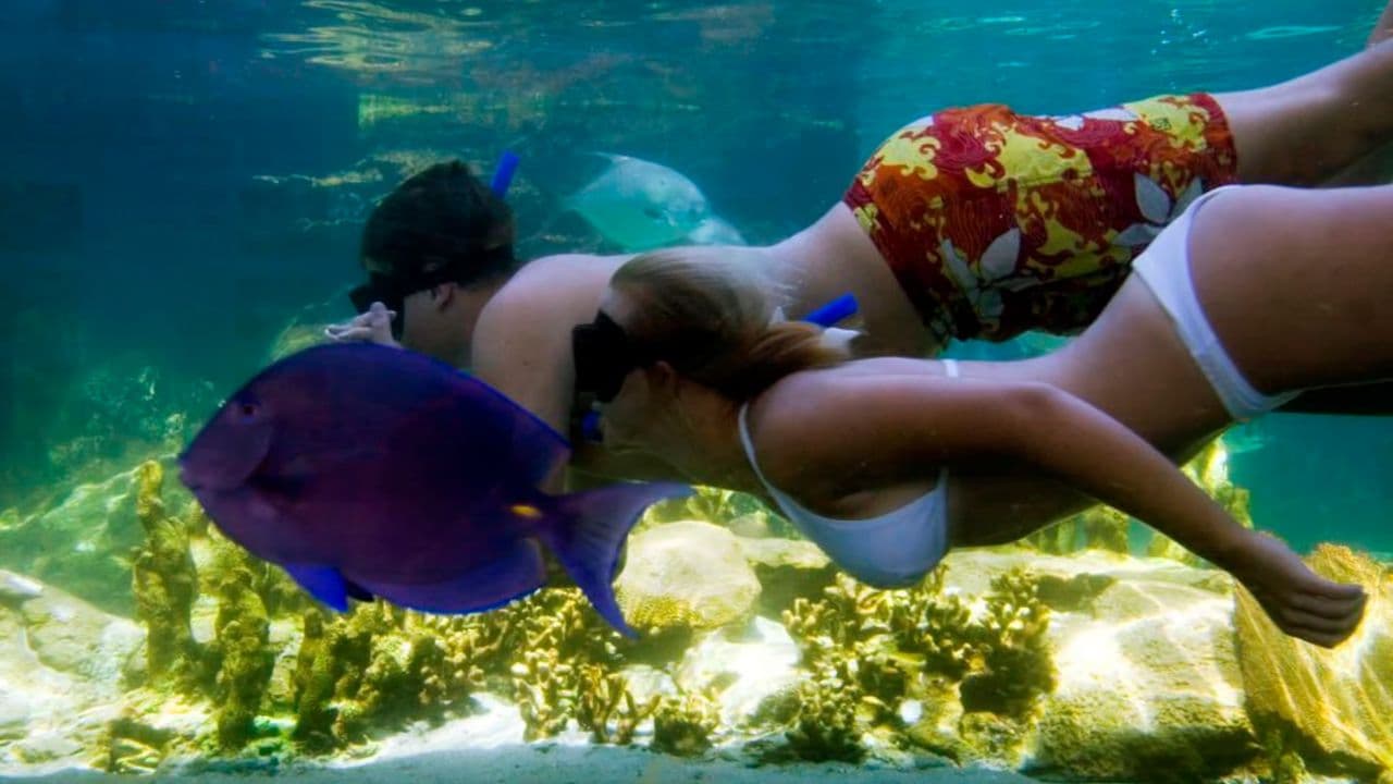 Puerto Plata Ocean World Adventure Park Taino bay Amber cove