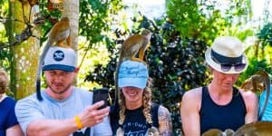 Puerto Plata: Monkeyland and Zip-Line Adventure