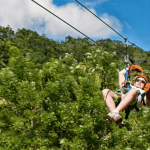 El Limón: Ziplining Adventure