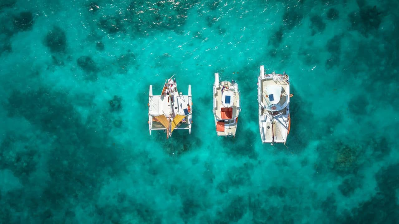 Punta Cana: Luxury Yacht Cruise with Snorkeling and Lunch