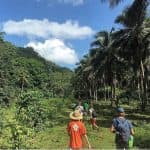 Hotel + Hiking +Swimming + Kayaking 2 Days trip Los Haitises