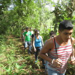 Hike + Kayak Los Haitises National Park from Punta Cana