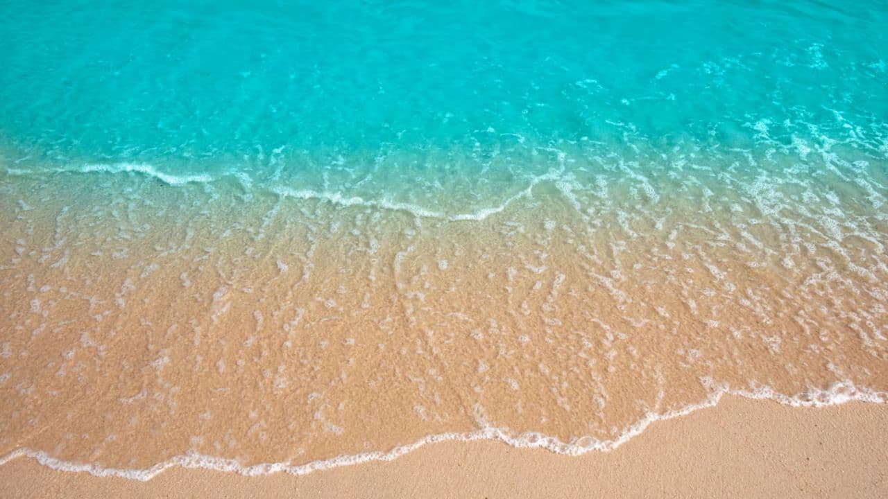 Catamaran Tour to Saona Island: Lunch & Open Bar Experience