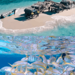 Cayo Arena: Paradise Island Tour Sosua o Cabarete
