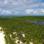 Saona Island Tour from Bayahibe – Natural Pool Excursion
