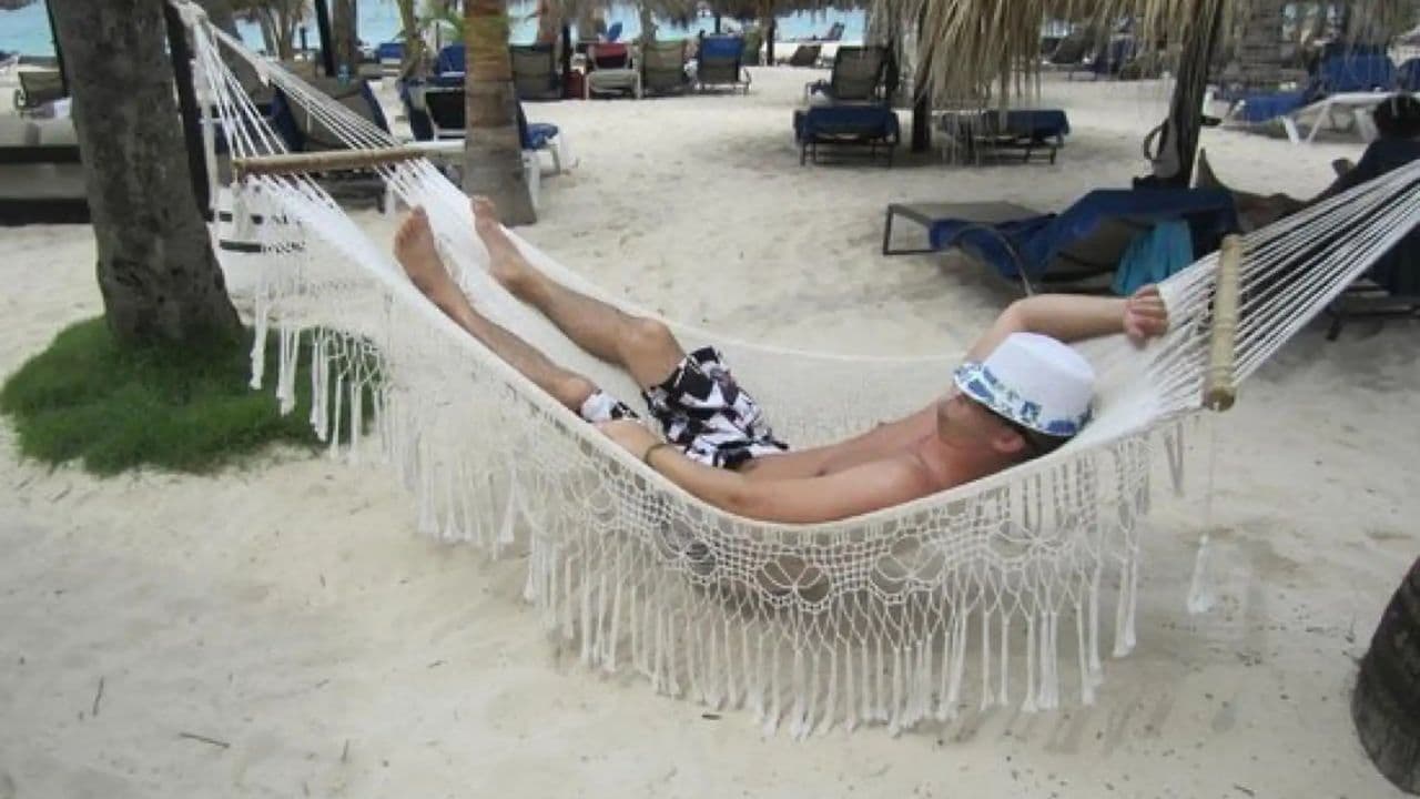 Saona Island Snorkeling, Catamaran and Lunch on the Beach