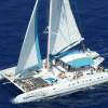 Punta Cana: Saona Island Catamaran Day Trip with Tickets and Lunch - Dominican Republic