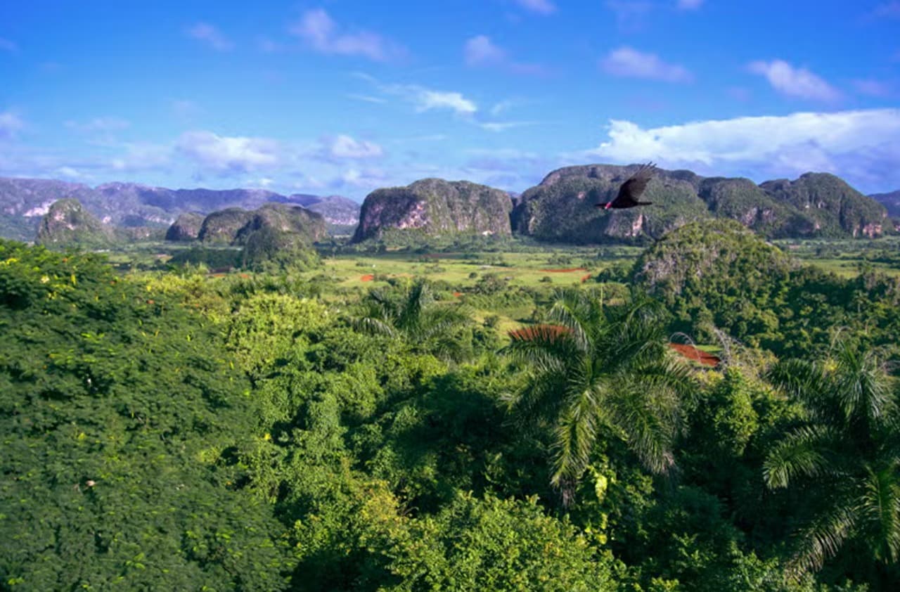 Viñales Horse Riding Tour