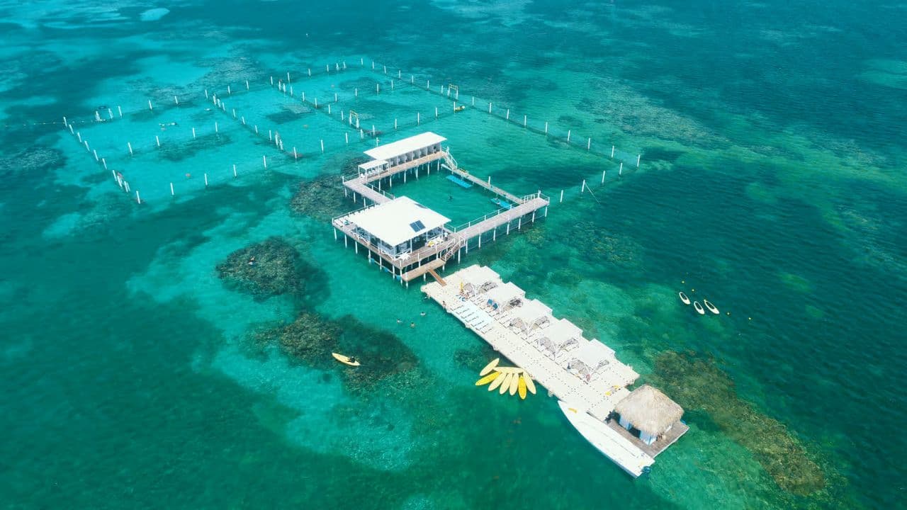 Punta Cana: Speedboat and Snorkeling Adventure with …