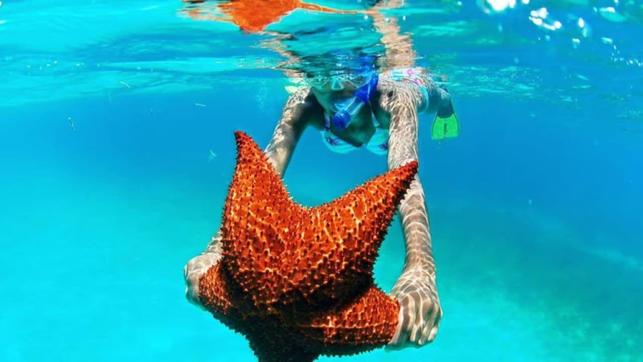 Punta Cana: Saona Island Day Trip with VIP Option