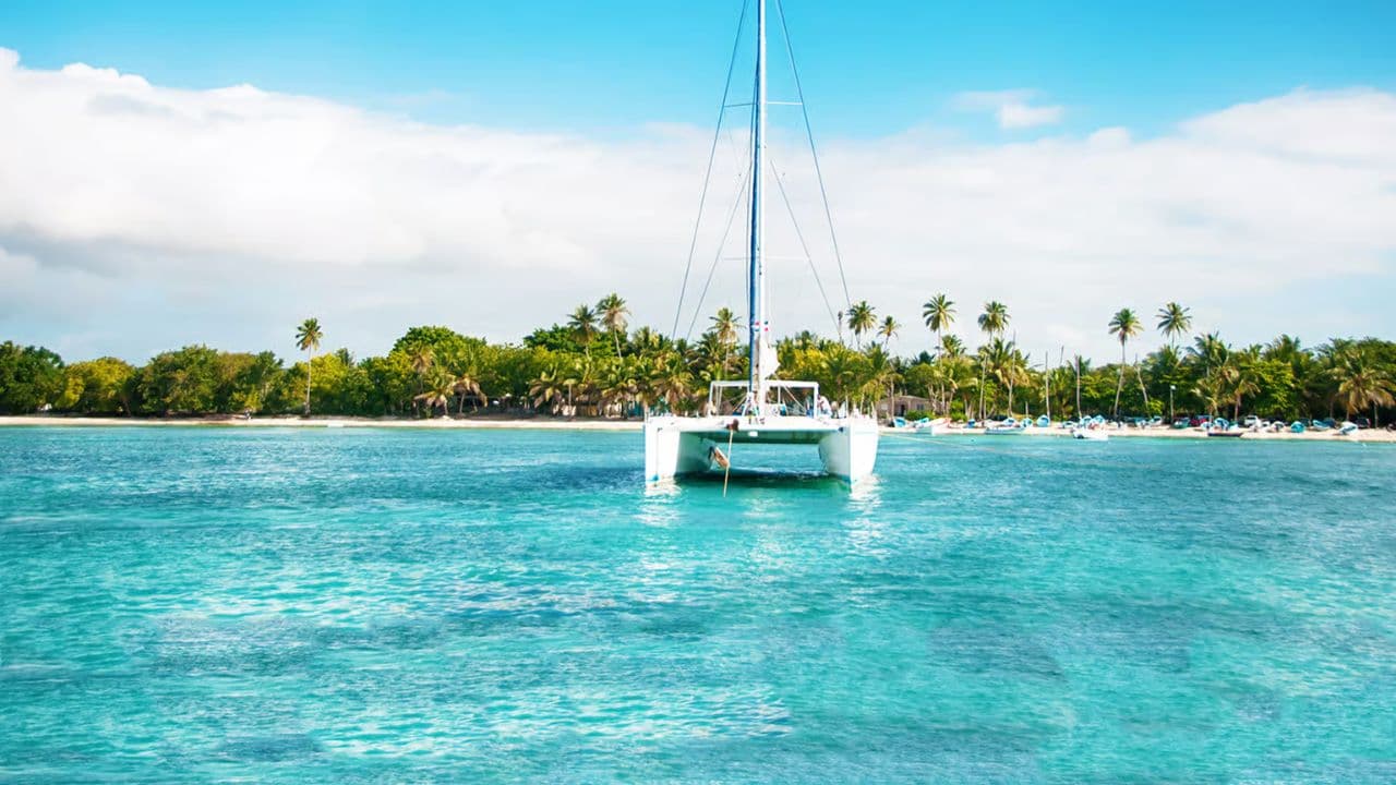 Saona Island catamaran experience with lunch from punta cana