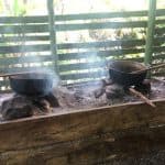 From Bayahibe: Half Day Monkeyland Safari