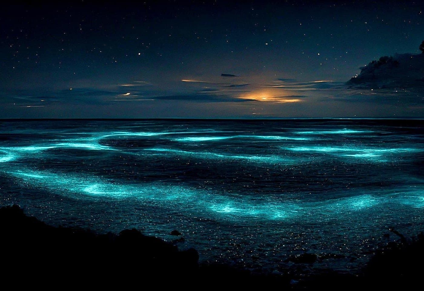 Bioluminescent Bay Adventure in Grand Cayman