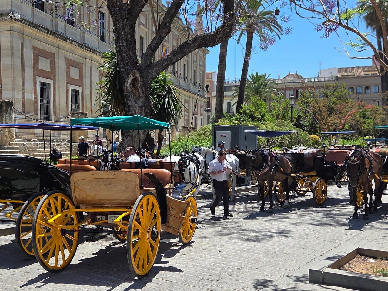 Seville Hop-On Hop-Off Bus Tour for 48 hours