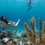 Snorkel Cayo Levantado and Farola island Snorkeling