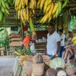 From Punta Cana: Los Haitises and Redonda Mountain Day Trip
