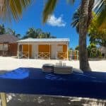 Saona Island: Small Group Virgin Beaches Cruise Day Trip