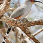 Hike + Kayak Los Haitises National Park from Boca Chica
