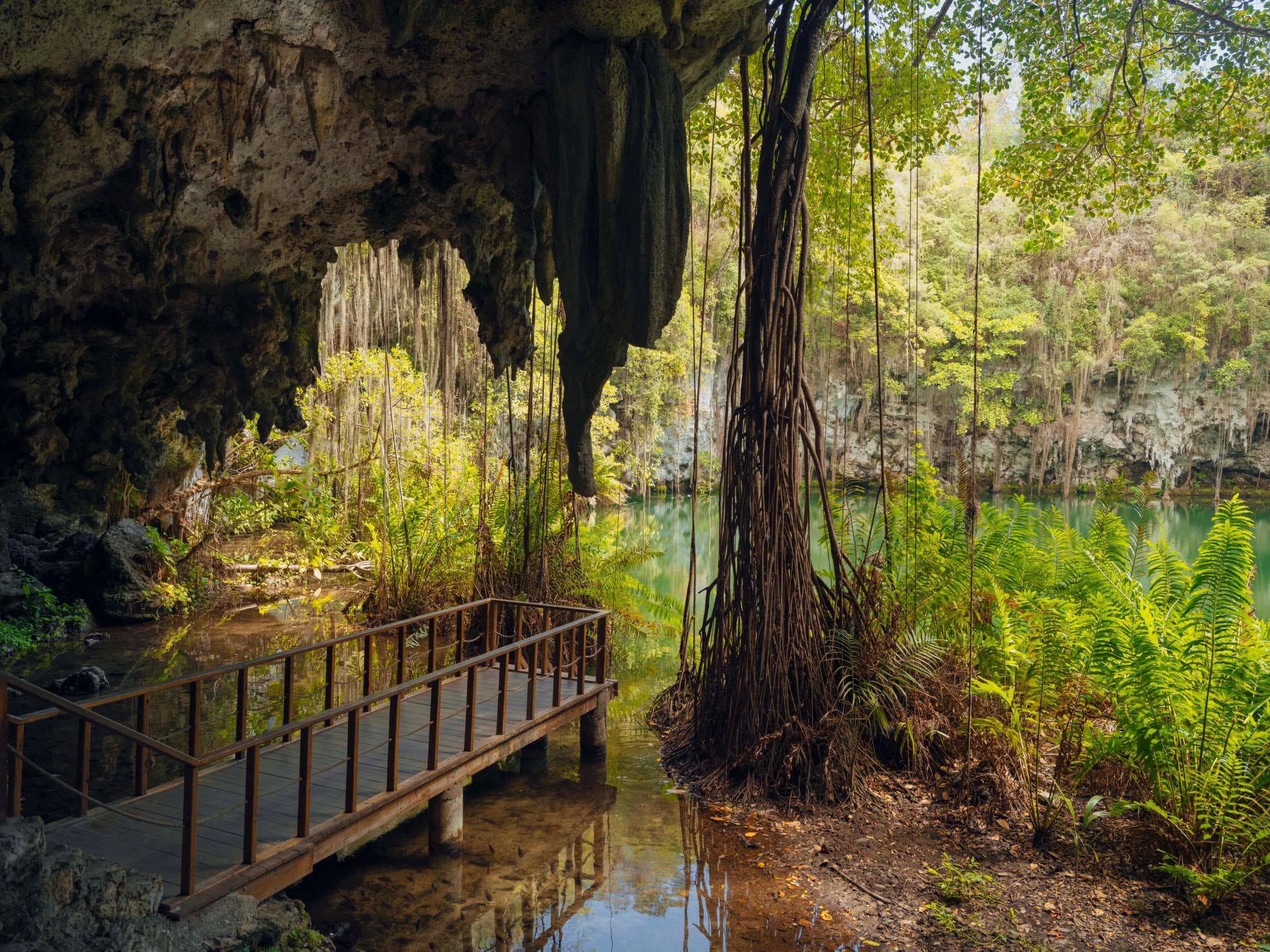 Los Tres Ojos Entrance Tour with Local Guide – Santo Domingo