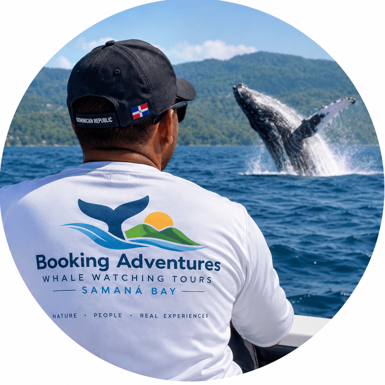 Samaná Whale Watching