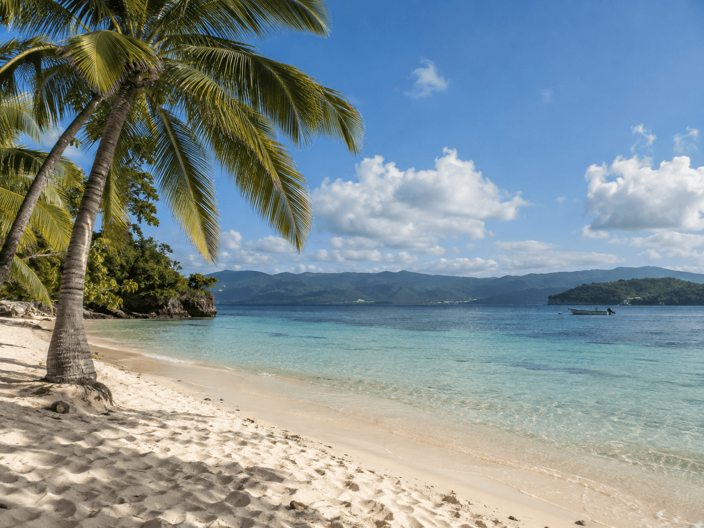 Los Haitises & Cayo Levantado from Samaná Cruise Port: Complete Shore Excursion Guide 2026
