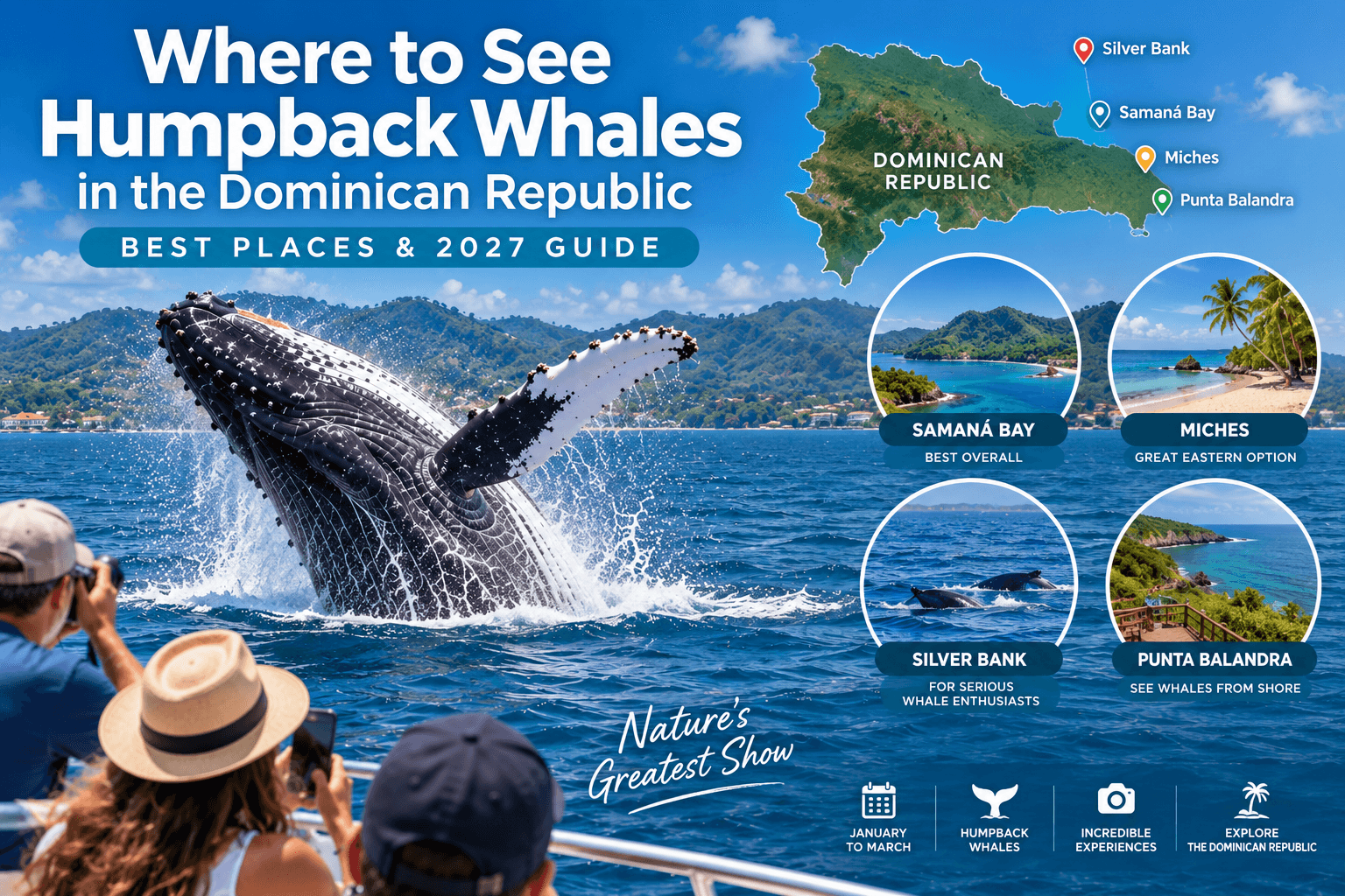 Where to See Humpback Whales in the Dominican Republic: Best Places & 2027 Guide
