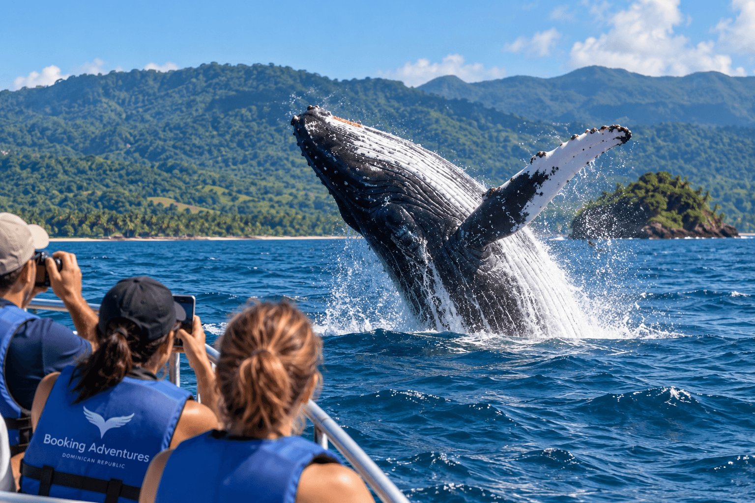 Samaná Whale Watching Season 2027: Best Time to See Humpback Whales