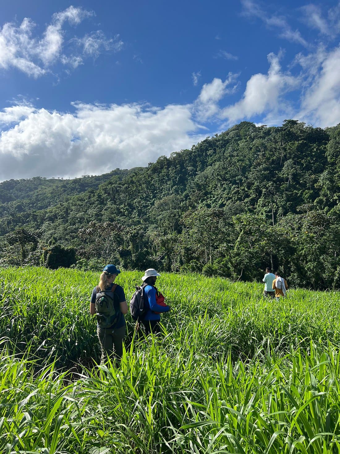 Los Haitises Hiking | Trails, Wildlife & Guided Nature Tours