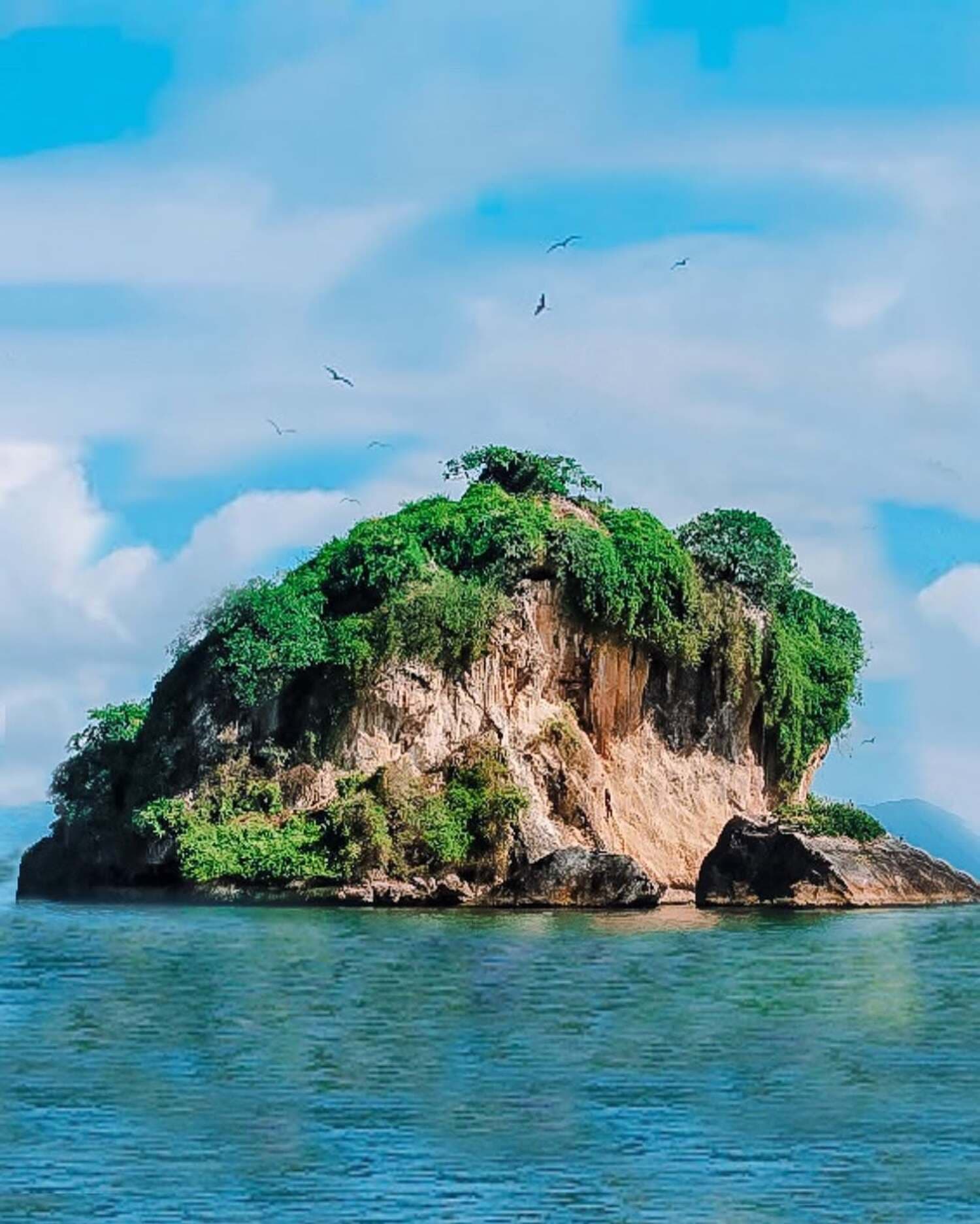 🌿 Los Haitises Tour from Las Terrenas / Las Galeras – Is it Possible?